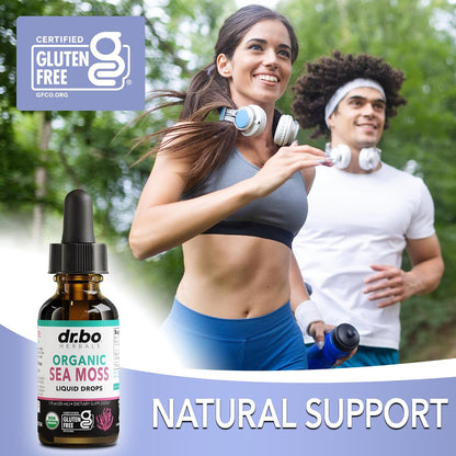 Irish Sea Moss Liquid Drops – Organic, Vegan, Non-GM, Extra Strength