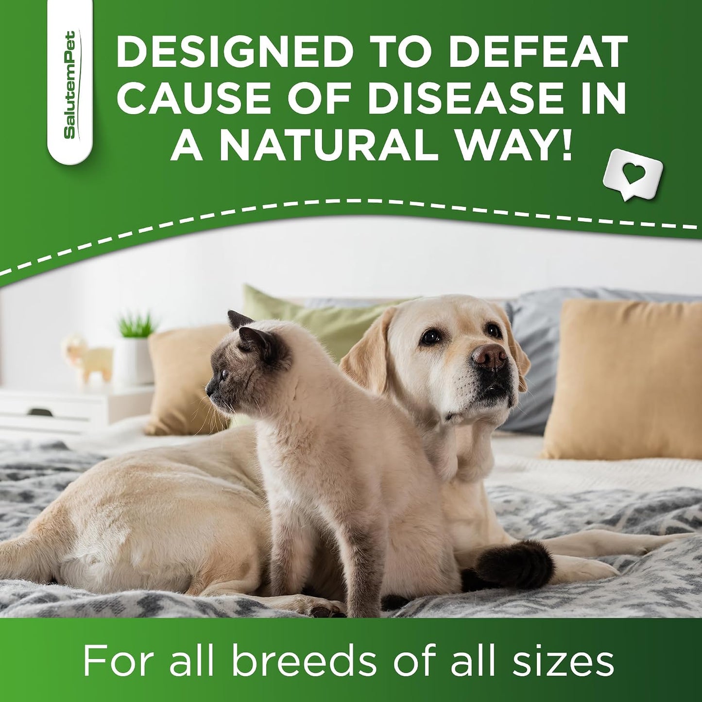 Natural Antibiotics for Dogs to Help with Allergies and UTIs | Kennel Cough Remedy for Dogs | Infection Support for Cats | Herbal Supplement Great for All Breeds and Ages | 60 mL - görsel 7