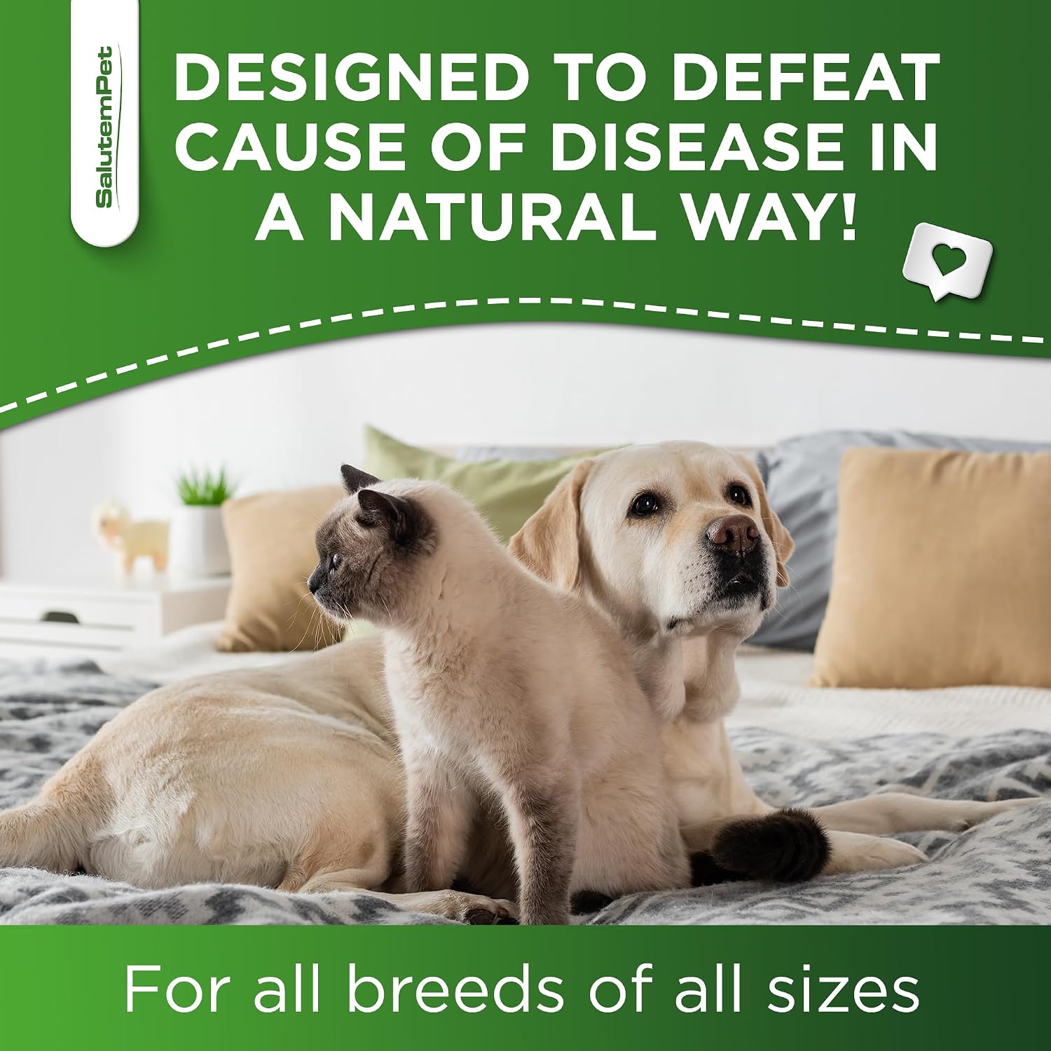 Natural Antibiotics for Dogs to Help with Allergies and UTIs | Kennel Cough Remedy for Dogs | Infection Support for Cats | Herbal Supplement Great for All Breeds and Ages | 60 mL - görsel 7