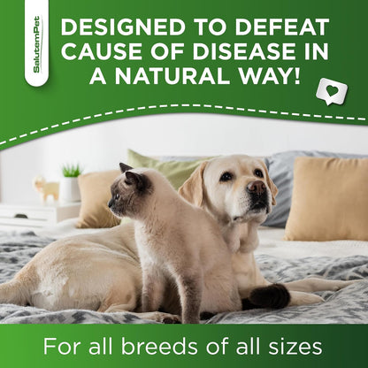 Natural Antibiotics for Dogs to Help with Allergies and UTIs | Kennel Cough Remedy for Dogs | Infection Support for Cats | Herbal Supplement Great for All Breeds and Ages | 60 mL