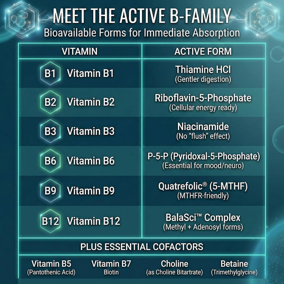 Approved Science Methylated B Complex – Full – Energy Production: B vitamins help convert food into cellular – Image 6