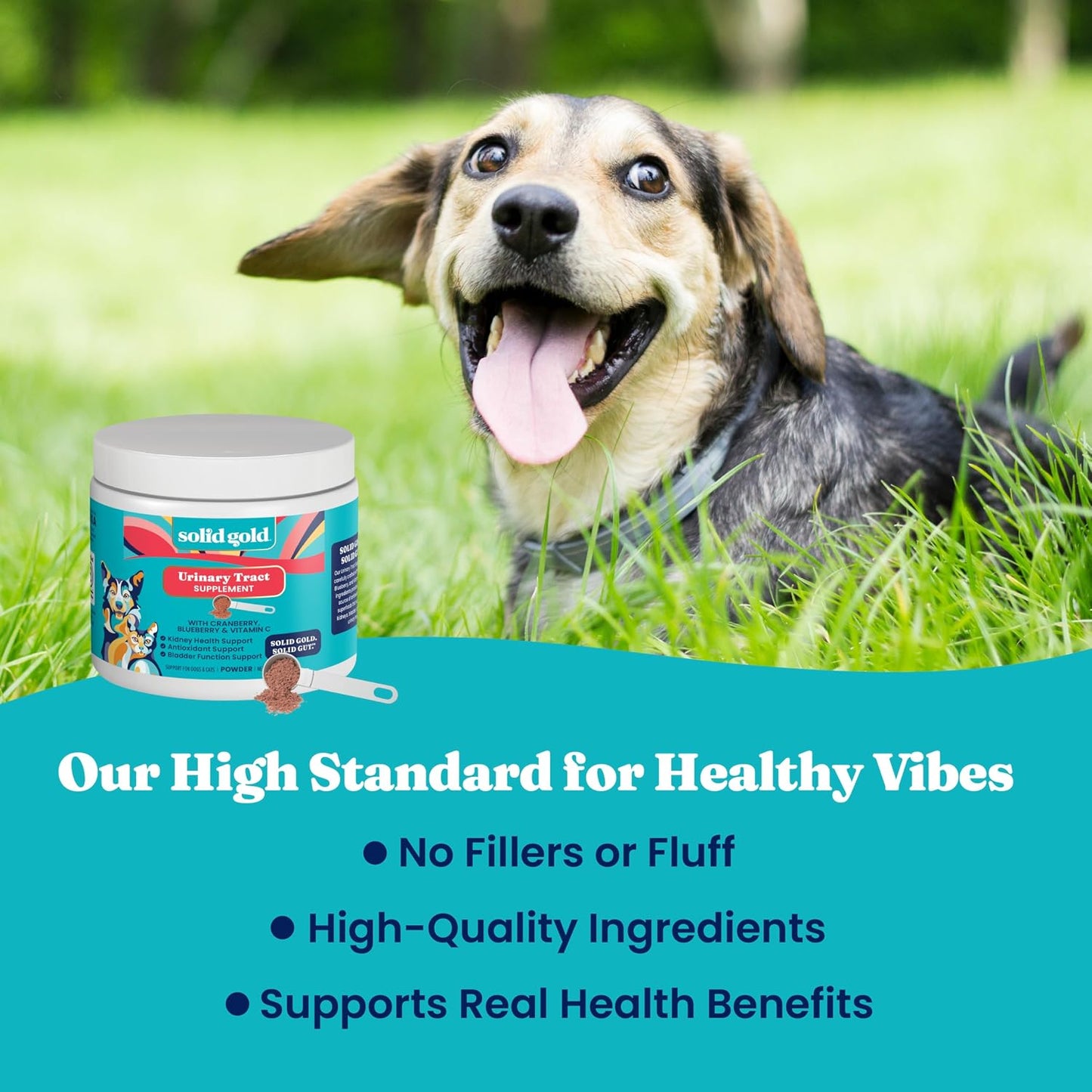Solid Gold Berry Balance Cranberry Supplement for Dogs – Urinary Tract, Bladder & Kidney Support with Antioxidants (99 g Powder) - görsel 5