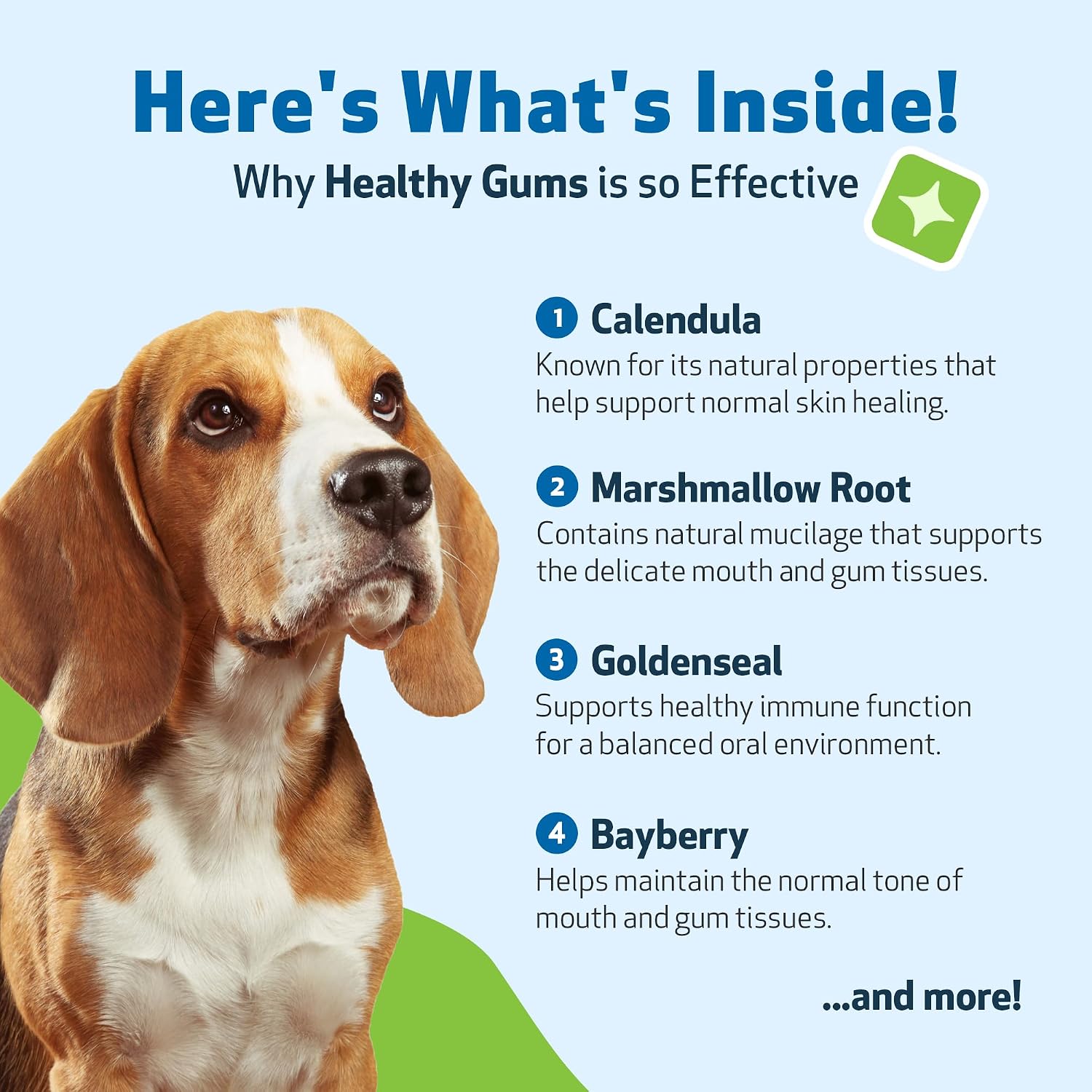 Pet Wellbeing Healthy Gums for Dogs - Topical Herbal Drops for Oral Care, 4 oz (118 mL) - görsel 6