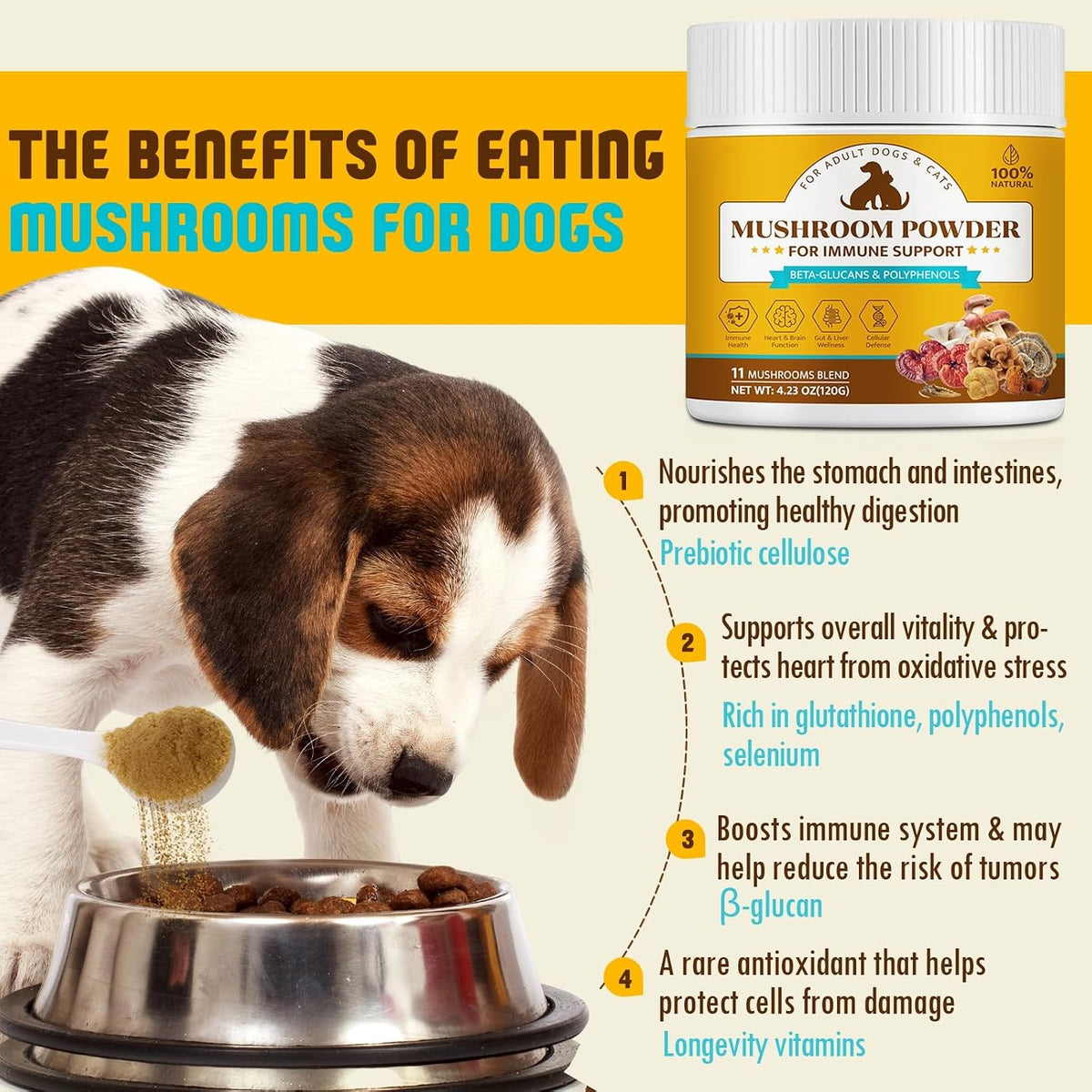 Organic Mushroom Supplement Powder for Dogs – Maitake (Grifola frondosa): Known for immune-modulating properties – Image 5