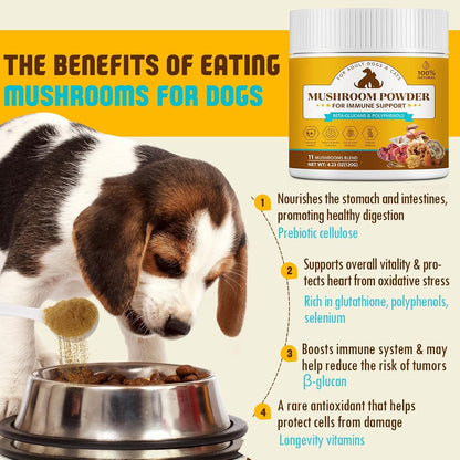 Organic Mushroom Supplement Powder for Dogs – Maitake (Grifola frondosa): Known for immune-modulating properties – Image 5