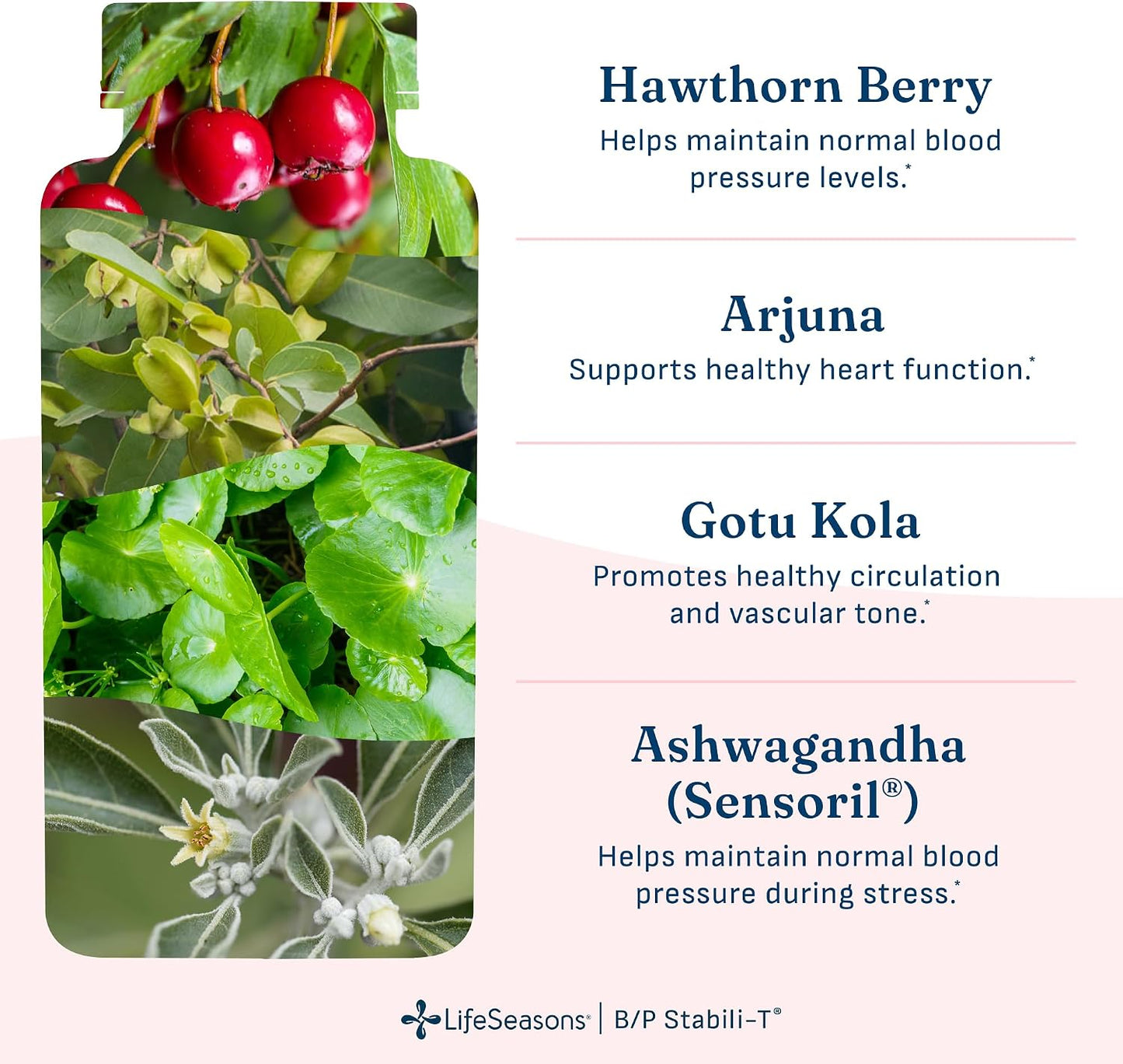 LifeSeasons B/P Stabili-T - Blood Pressure Support Supplement with Ashwagandha, Arjuna & Hawthorn Berry - 120 Capsules - görsel 4