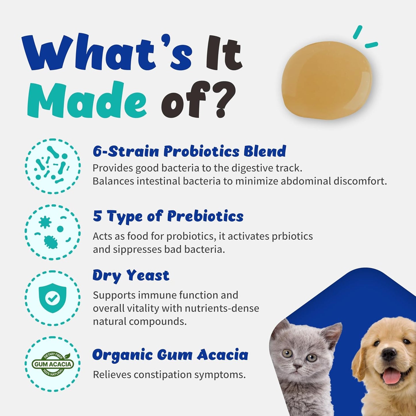 Branvine Probiotics Liquid for Cats and Dogs - 6 Strains with Prebiotics and Dry Yeast (60 ml) - görsel 2