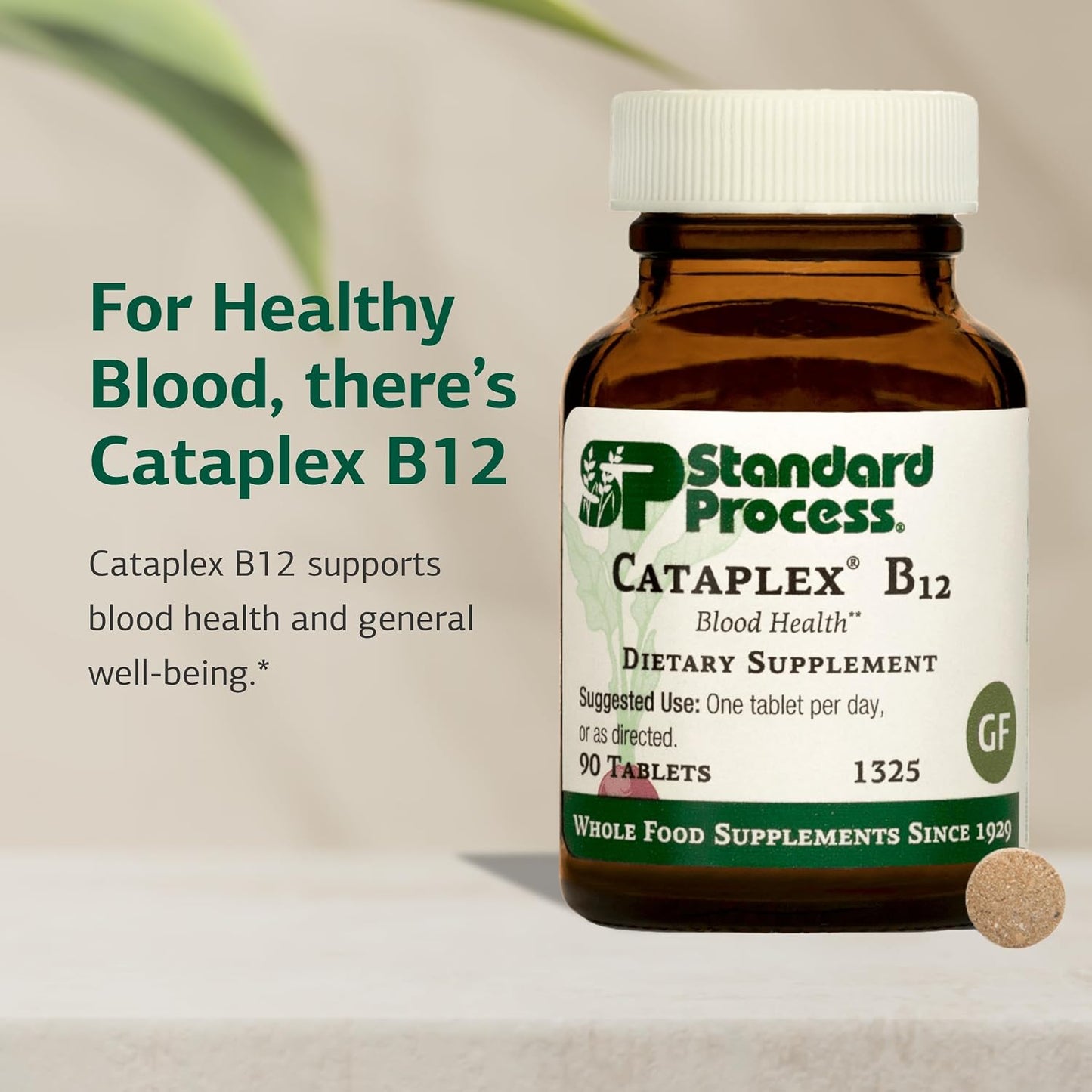 Standard Process Cataplex B12 - Vitamin B12 Supplement - 90 Tablets - görsel 3