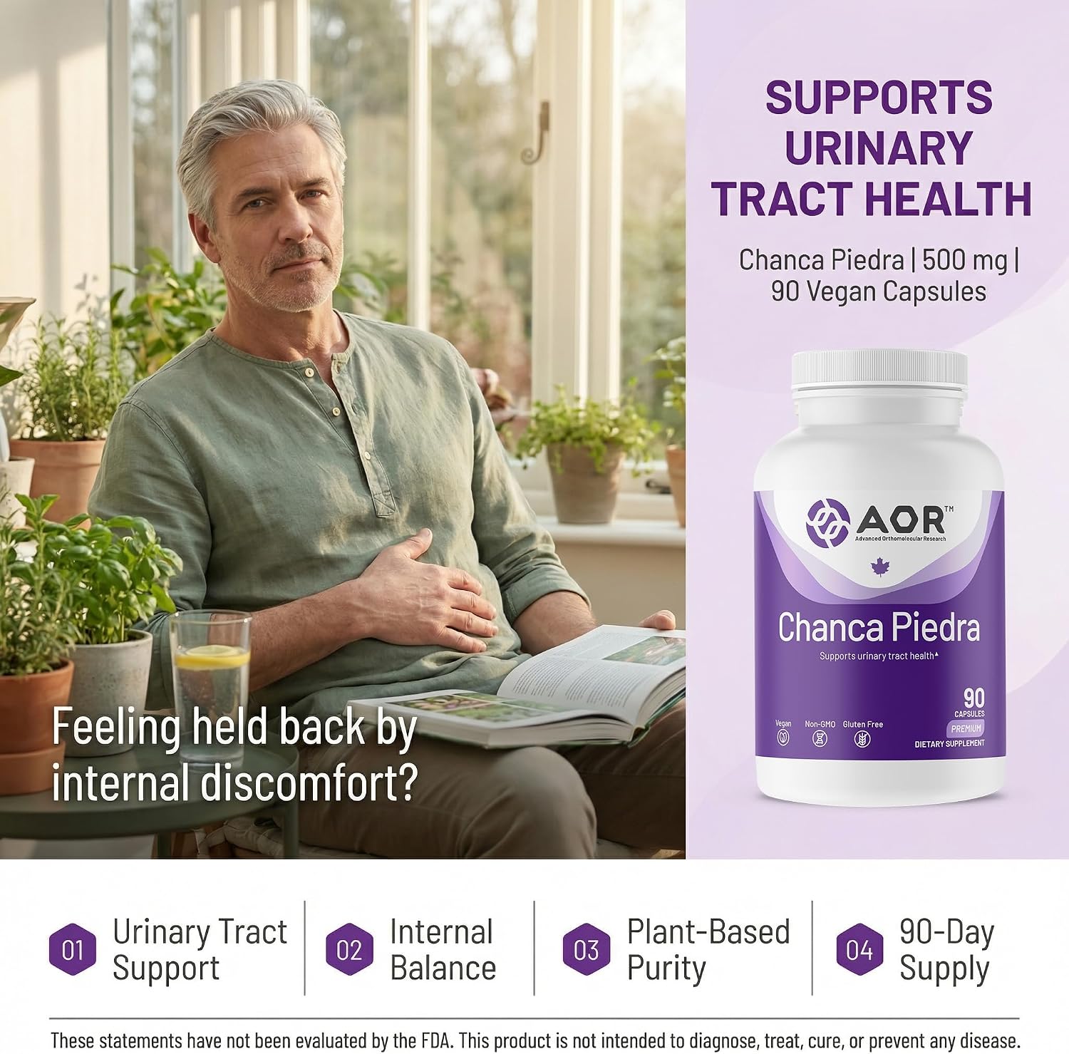 AOR Chanca Piedra 500 mg - 90 Vegan Capsules - görsel 2