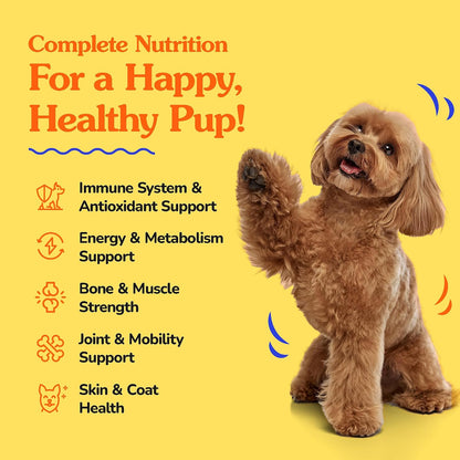 Dr. Jay's Romps Dog Multivitamin Chews - Collagen Type II - 30 Count