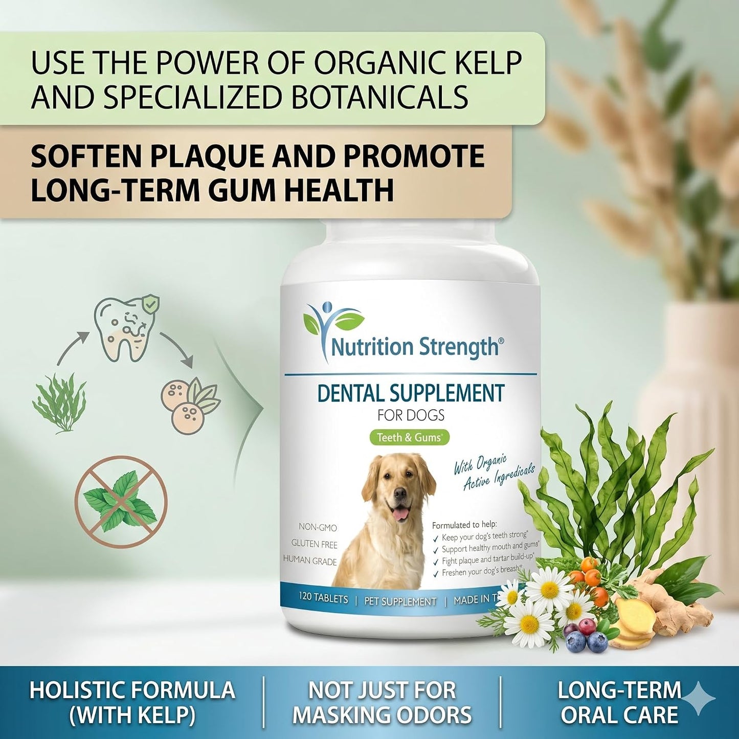 Nutrition Strength Dental Care for Dogs - Natural Plaque & Tartar Remover for Teeth - Fresh Breath Dog Supplement with Organic Kelp, Strawberry Leaf & Pumpkin Seed for Gum Health - 120 Tablets - görsel 3