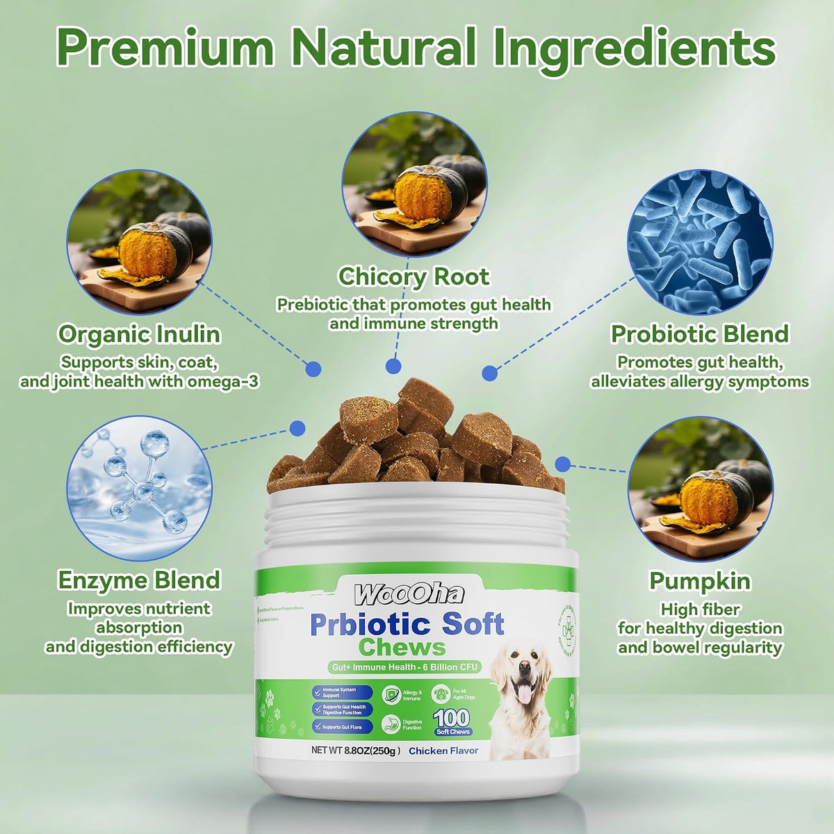 Woooha Probiotics for Dogs – 6 Billion CFU – All-Breed Suitability: Whether you have a small breed like a – Image 4