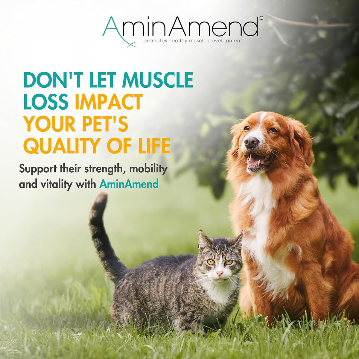 AminAmend Muscle Support Pet Supplement for Small Dogs and Cats with CaHMB and Vitamin D3 – 30 Capsules – Image 7