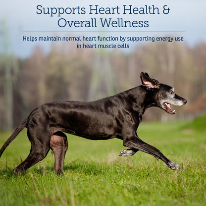 Rx Vitamins LiquiCarn - Pure L-Carnitine for Dogs and Cats, Bacon-Liver Flavour, 4 oz – Image 3