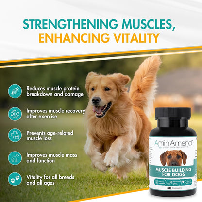 AminAmend Dog Muscle Supplement for Large Breeds – CaHMB & Vitamin D3 (30 Count) – Image 2