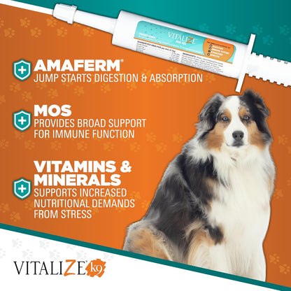 Vitalize Dog Gel - Surgery Recovery & Immune Support for Small Dogs - Peanut Butter Flavour (15 ml)