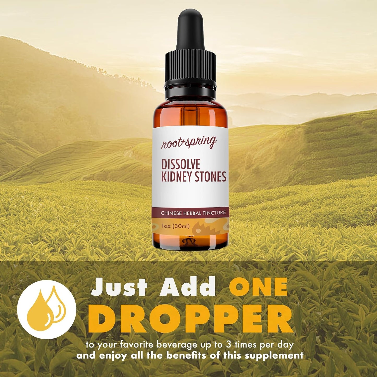 root + spring Dissolve Kidney Stones Liquid Extract – Shi Lin Herbal Tincture, 30 mL (Pack of 4) - görsel 3