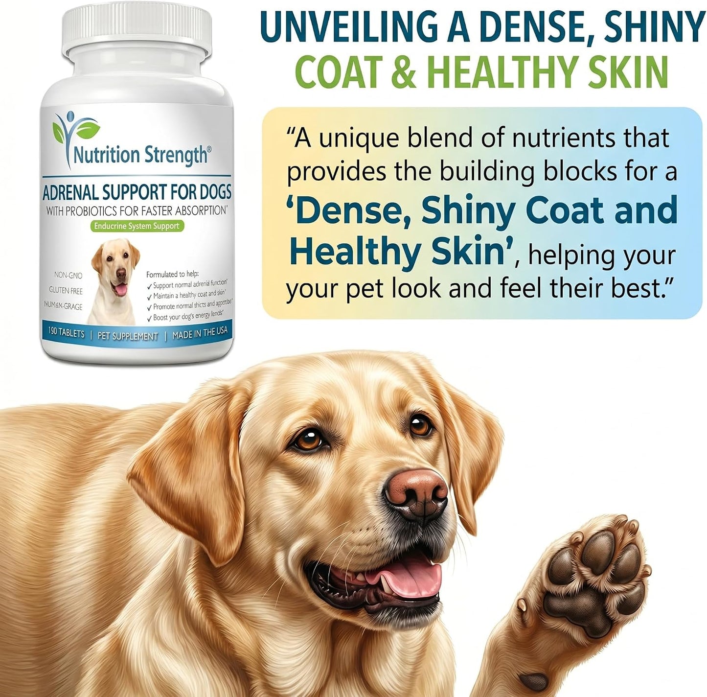 Adrenal Support for Dogs with Cushing's Disease - 120 Herbal Chewable Tablets - görsel 3