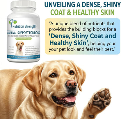 Adrenal Support for Dogs with Cushing's Disease - 120 Herbal Chewable Tablets