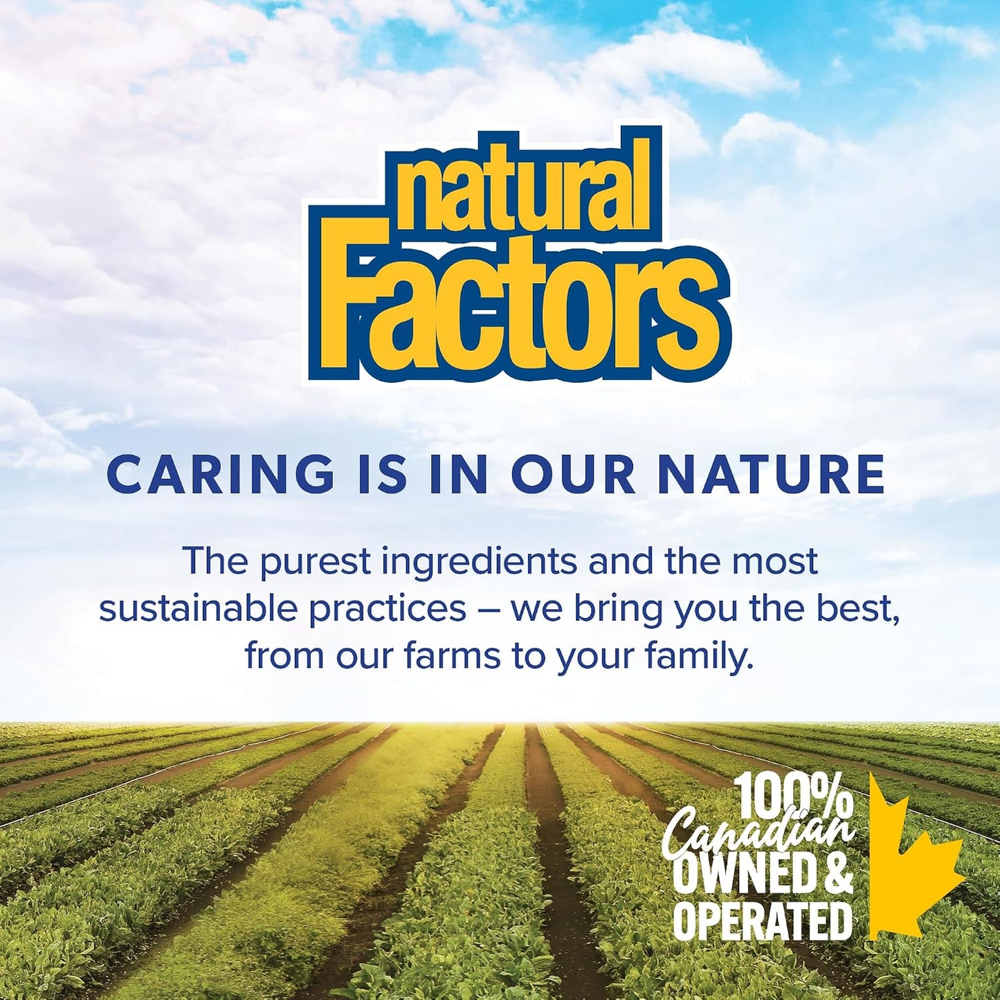 Natural Factors Vitamin A 10,000 IU - 180 Softgels - görsel 3