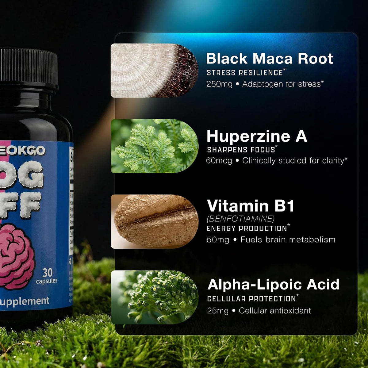 FOG OFF Brain Fog Supplement – Focus Pills – Clean Energy, No Crash: The nootropic blend delivers steady energy – Image 3