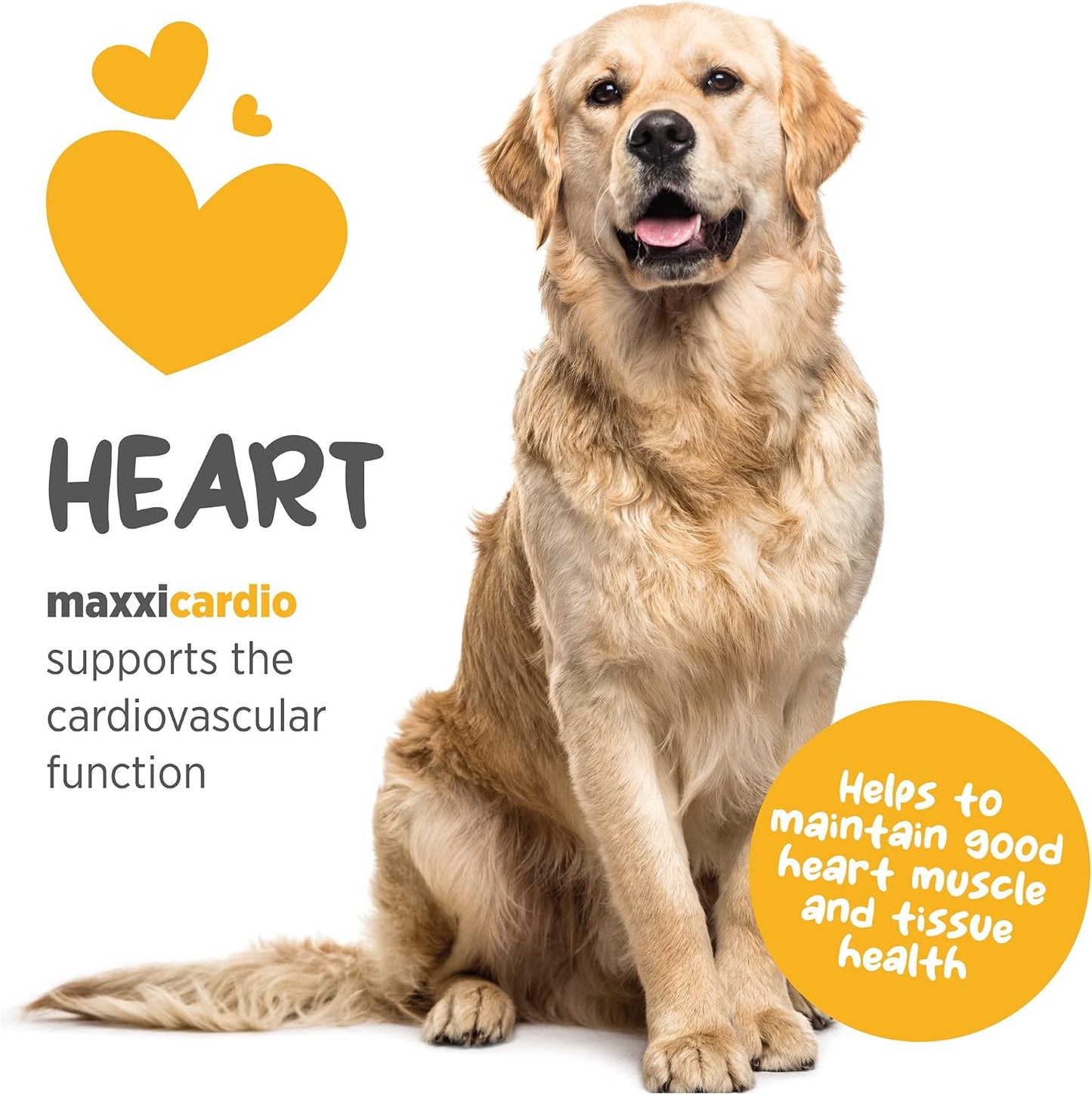 maxxicardio Heart Support for Dogs (Small Size) – Taurine + L-Carnitine + Hawthorn + Ginkgo – Helps Support Circulation, Energy & Stamina – Easy Mix Powder – Made in USA – 91 g - görsel 3