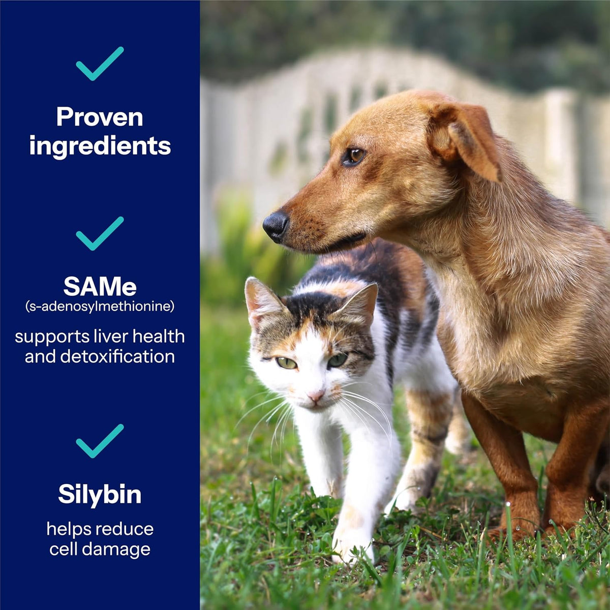 Same Pro Liver Support for Medium Dogs, 225mg, Green, 6-15 kg – Image 4