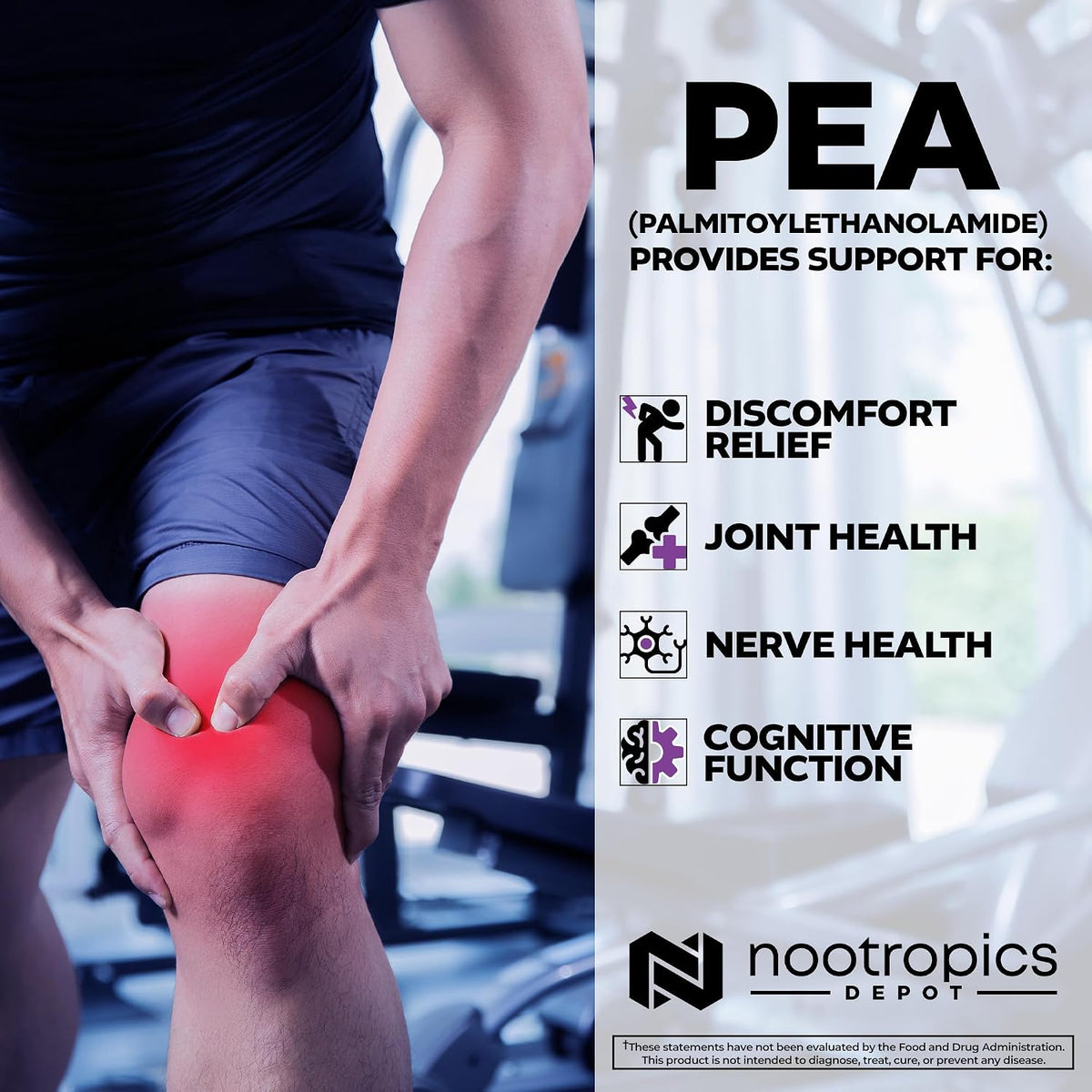 Nootropics Depot Palmitoylethanolamide (PEA) – Micronised: Enhances bioavailability so you get the most from each – Image 4