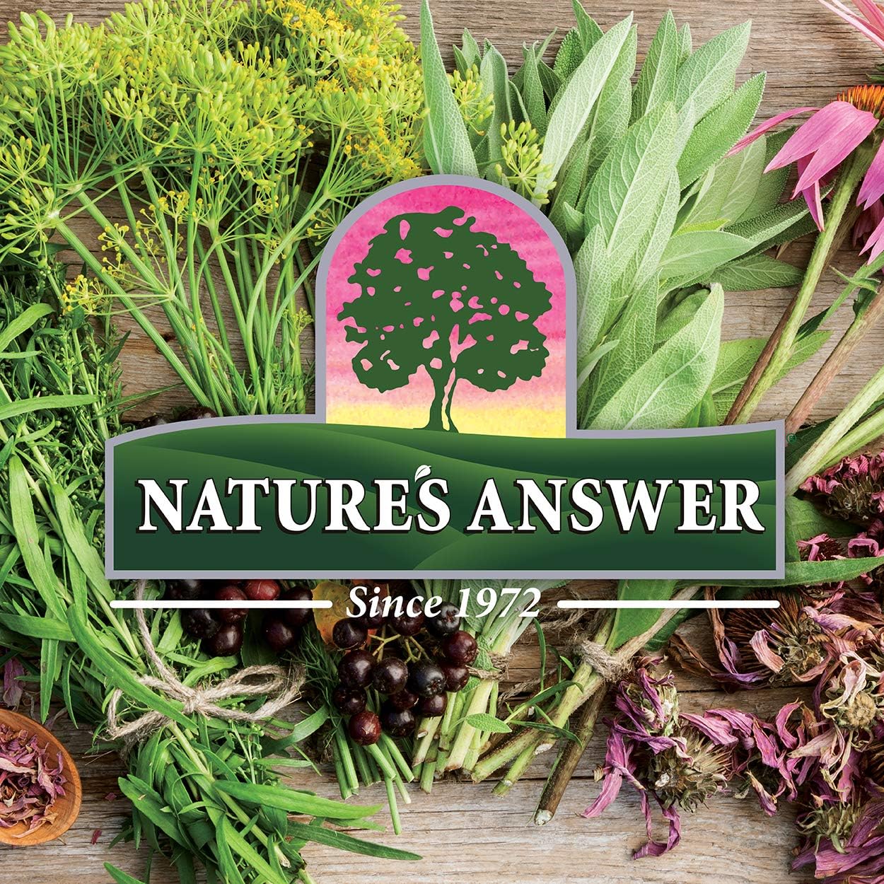 Nature's Answer Fenugreek Seed Extract – Liquid, 30 ml - görsel 7