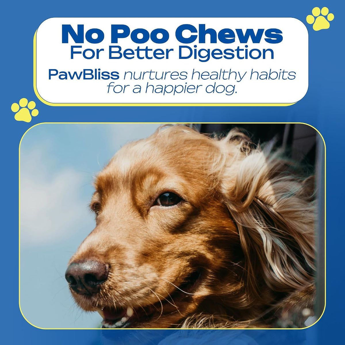 No Poo Chews for Dogs – Stop Stool Eating – Coprophagia Deterrent: Natural capsicum extract alters the taste of – Image 5