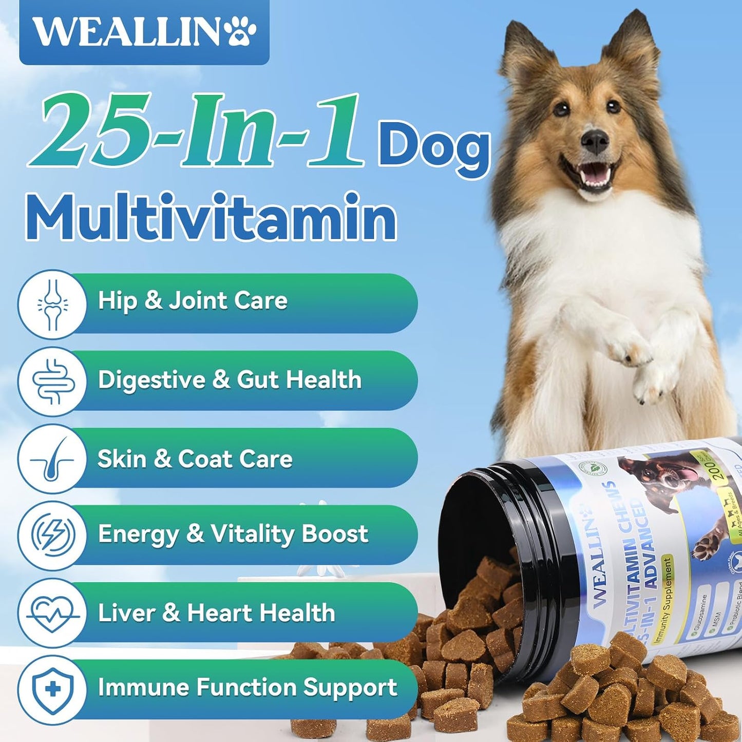 WEALLIN 25-in-1 Dog Multivitamin Chewable - Glucosamine, Probiotics, Omega-3 for Coat, Joints, Digestion & Immunity (200 Chews) - görsel 2