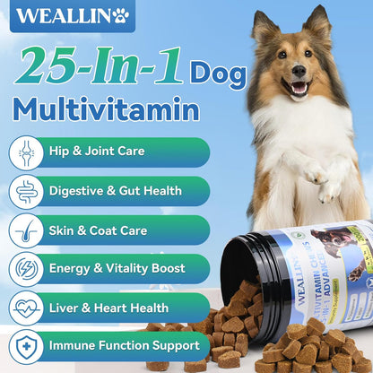 WEALLIN 25-in-1 Dog Multivitamin Chewable - Glucosamine, Probiotics, Omega-3 for Coat, Joints, Digestion & Immunity (200 Chews)