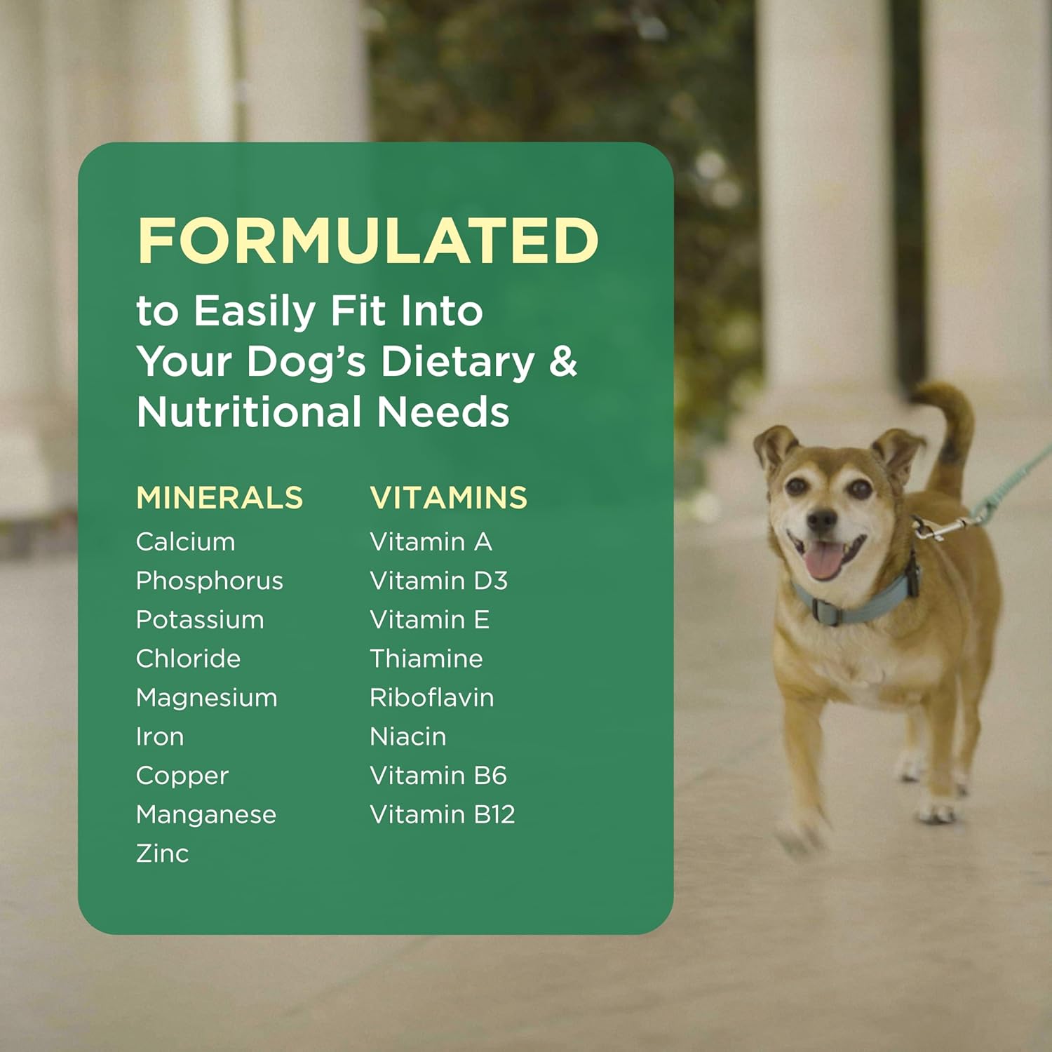 Pet-Tabs Multivitamin and Mineral Supplement for Dogs - 180 Chewable Tablets - görsel 5