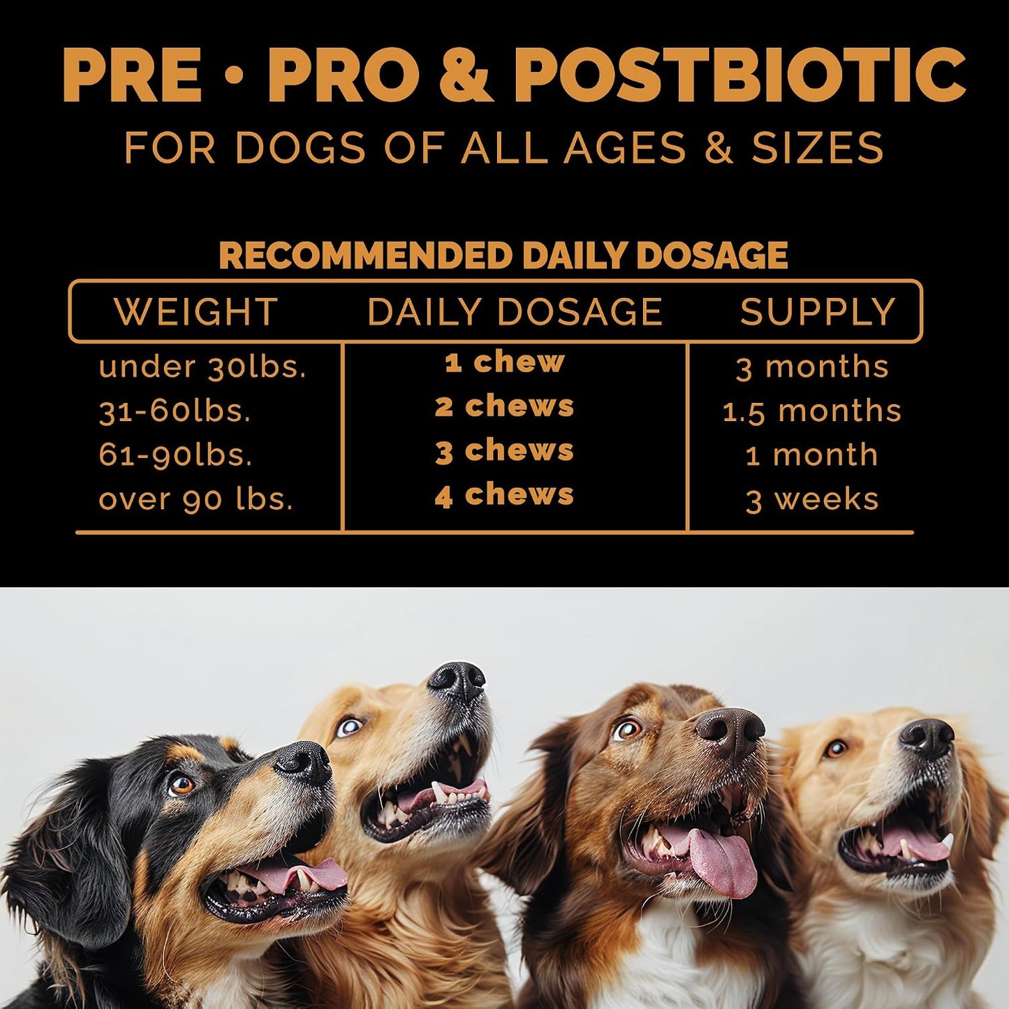 Pet Theory Probiotics for Dogs – Pre, Pro & Postbiotic Soft Chews for Digestive Health and Immune Support (100 Chews) - görsel 3