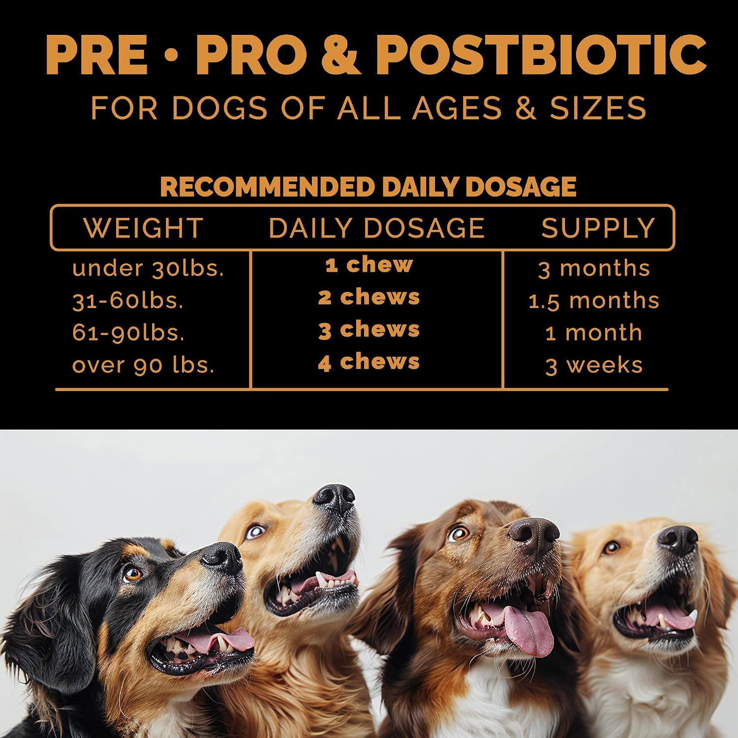 Pet Theory Probiotics for Dogs – Pre, Pro & Postbiotic Soft Chews for Digestive Health and Immune Support (100 Chews) - görsel 3