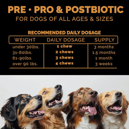 Pet Theory Probiotics for Dogs – Pre, Pro & Postbiotic Soft Chews for Digestive Health and Immune Support (100 Chews)