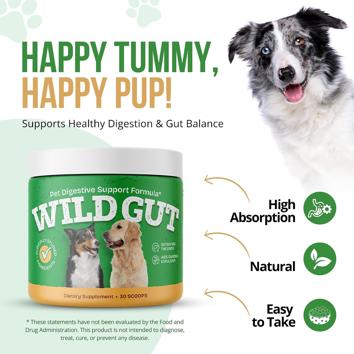 Wild Gut Natural Probiotic Supplement for Dogs - Supports Digestive Health & Gut Microbiome – Image 3