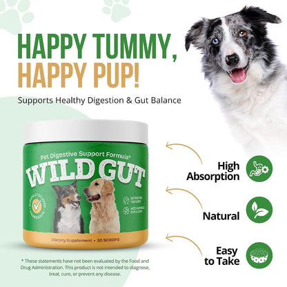 Wild Gut Natural Probiotic Supplement for Dogs - Supports Digestive Health & Gut Microbiome – Image 3