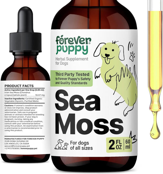 Forever Puppy Irish Sea Moss Drops for Dogs - Thyroid Support & Energy - Nutritional Drops with Liquid Sea Moss Extract - – Image 1