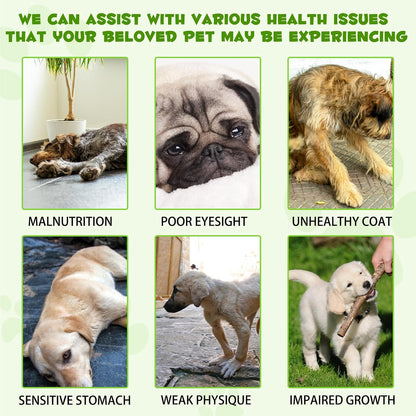 Probiotics for Dogs, 3-in-1 Dog Probiotics, Dog Probiotics for Digestive Support, Dog Probiotic Supplements, Pet Probiotics for Dogs, Liquid Probiotics for Dogs | 59 mL