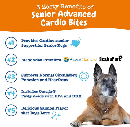 Zesty Paws Cardiovascular Support for Senior – L-Carnitine – Assists in converting fat to energy and supports – Image 2