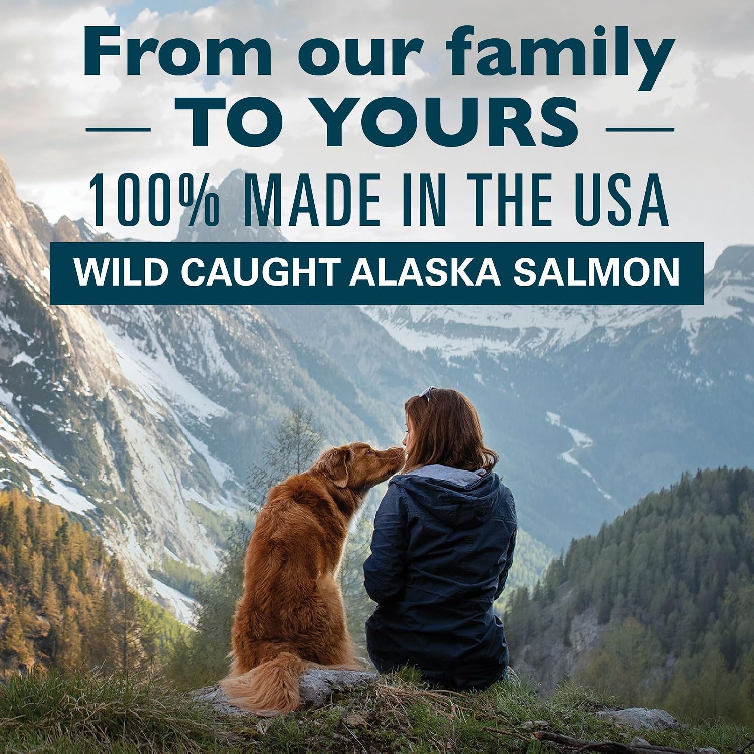 Alaska Naturals Wild Alaska Salmon Oil Formula Dog Food Topper – EPA and DHA Omega-3 Supplement - görsel 3