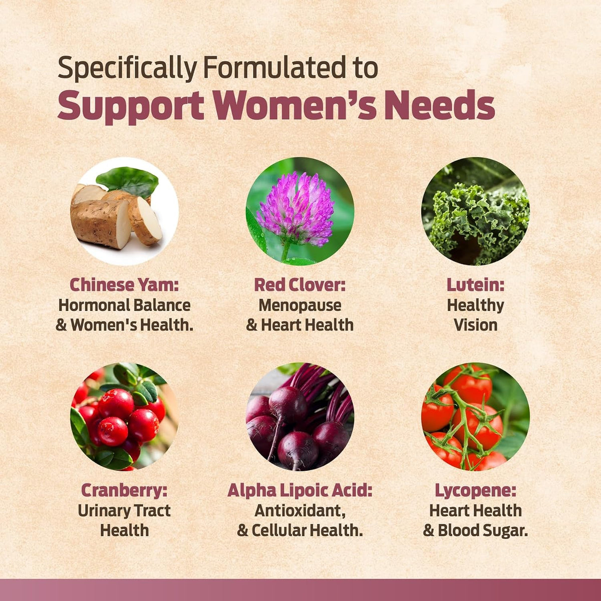 ForestLeaf Daily Multivitamin for Women's - – Vitamin B12 (methylcobalamin): The active form for energy and nerve – Image 2