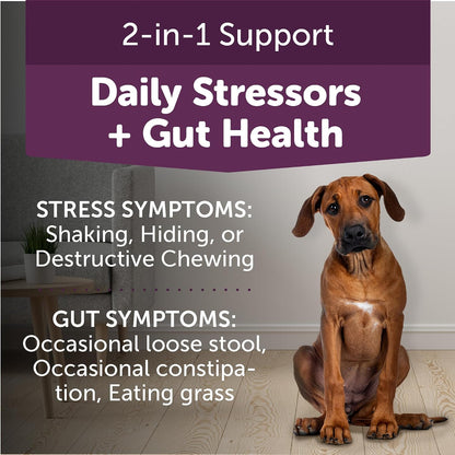ThunderBites Calm + Probiotics for Dogs – Promote regular digestion – Helps maintain normal stool consistency and – Image 5