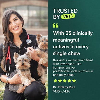 Wuffes 23-in-1 Dog Multivitamin Soft Chews – – Vitamin D3: Aids calcium absorption and bone health. – Image 4