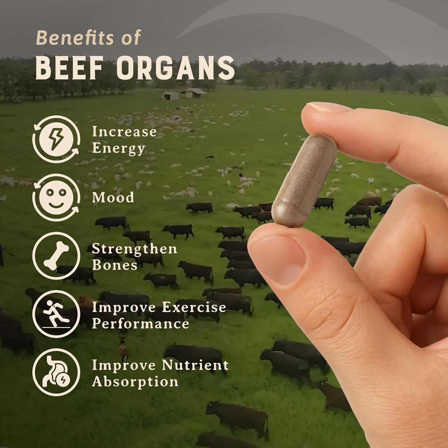 HEART & SOIL 100% Grass Fed Beef Organs Supplement (Liver, Heart, Kidney, Pancreas & Spleen) – 3000mg – 180 Capsules - görsel 3