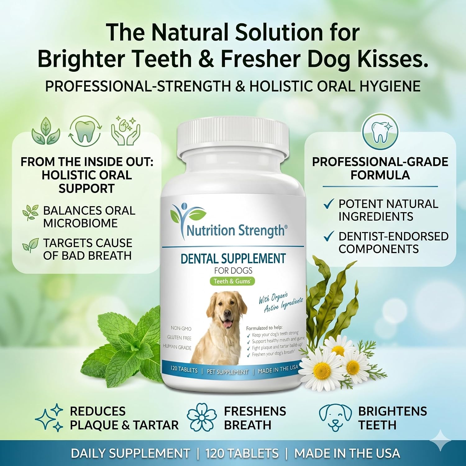 Nutrition Strength Dental Care for Dogs - Natural Plaque & Tartar Remover for Teeth - Fresh Breath Dog Supplement with Organic Kelp, Strawberry Leaf & Pumpkin Seed for Gum Health - 120 Tablets - görsel 2