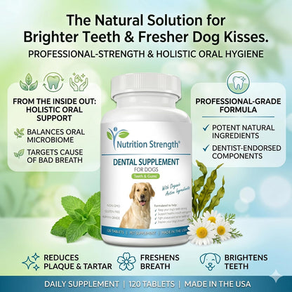 Nutrition Strength Dental Care for Dogs - Natural Plaque & Tartar Remover for Teeth - Fresh Breath Dog Supplement with Organic Kelp, Strawberry Leaf & Pumpkin Seed for Gum Health - 120 Tablets