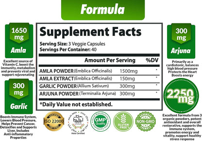 Cona Nature Organic Amla Capsules 1650mg with Arjuna & Garlic – Natural Vitamin C Supplement, Antioxidant Rejuvenator, Immunity & Energy Support, Gluten free, Vegan, 120 Capsules