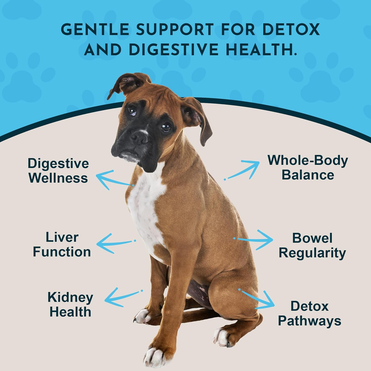 Animal Essentials Body Cleanse Liver Support for Dogs & Cats - 1 fl oz - görsel 3